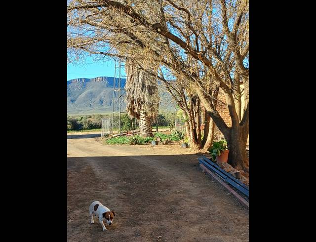 1.60HA SMALLHOLDING FOR SALE IN CALVINIA RURAL